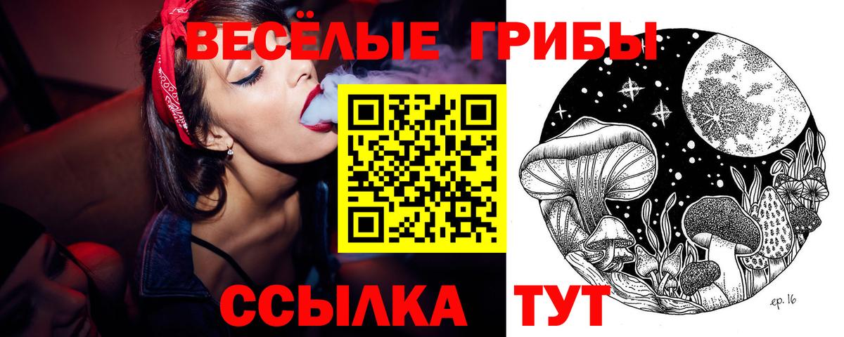 Галлюциногенные грибы мухоморы  Вход с VPN  Нижний Новгород  дарнет шоп  Псилоцибиновые грибы мухоморы 