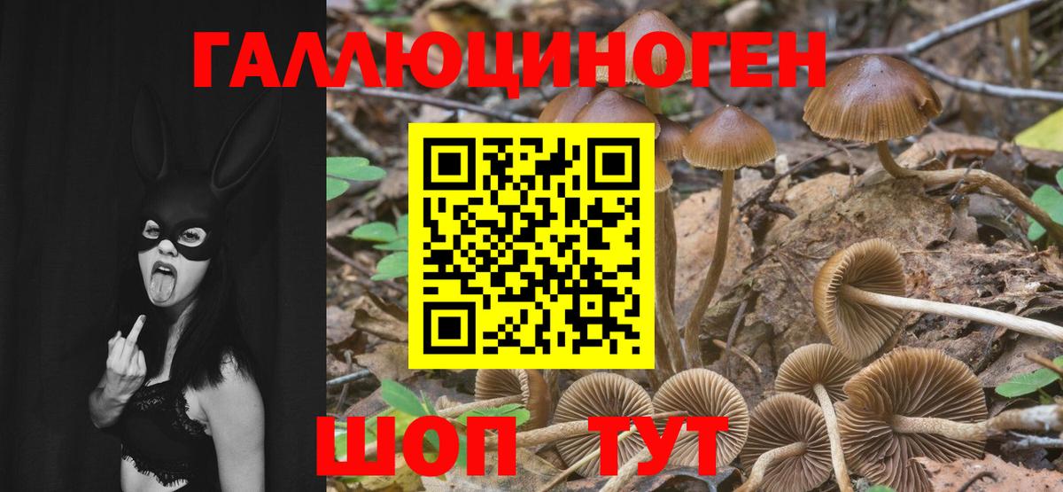 Псилоцибиновые грибы Magic Shrooms Нижний Новгород